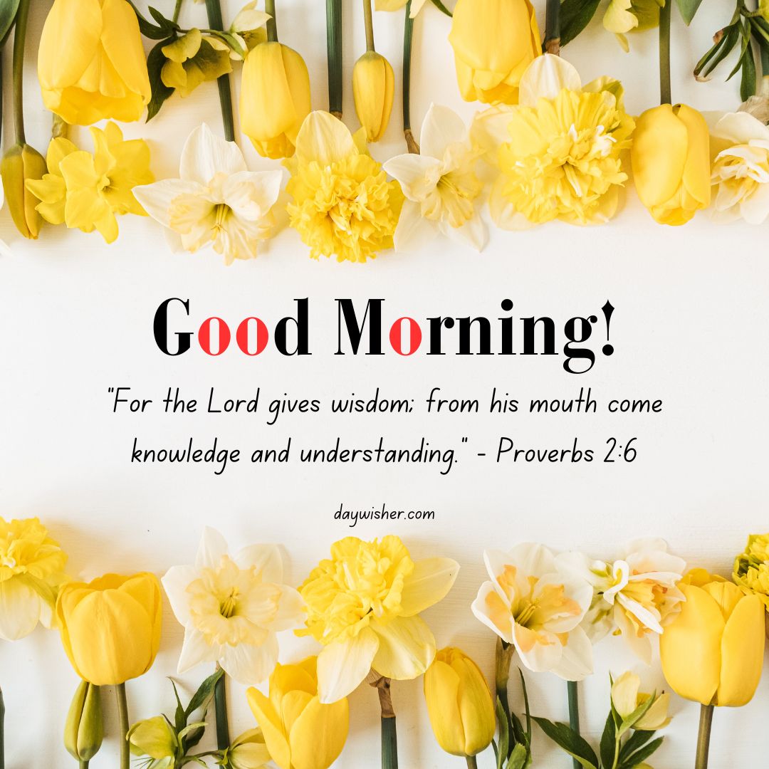 A bright floral background with yellow tulips and daffodils, featuring the text "Good Morning Bible Verses" and a biblical quote from Proverbs 2:6 about wisdom and understanding.