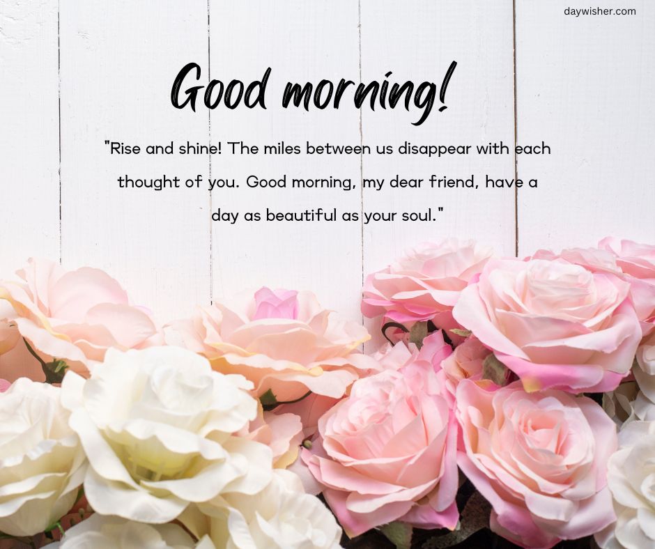 An image featuring a collection of pink and white roses against a white wooden background, with a text overlay saying "Good morning! Rise and shine! The miles between us disappear with each thought of you.