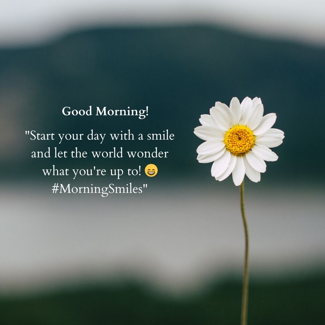 A single white daisy in sharp focus against a blurred natural green and blue background, with an inspirational good morning greeting and hashtag overlaying the image.