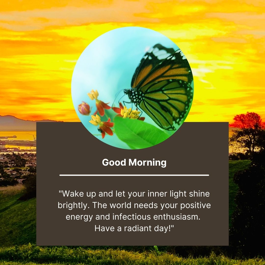 A vibrant graphic featuring a sunrise over a landscape with the text "good morning" and an inspirational quote, overlayed by a transparent circle containing a butterfly and flowers.