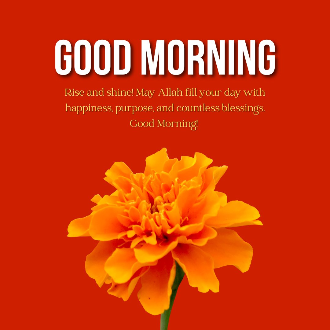 Islamic Good Morning Messages for Friends with orange flower and blessings