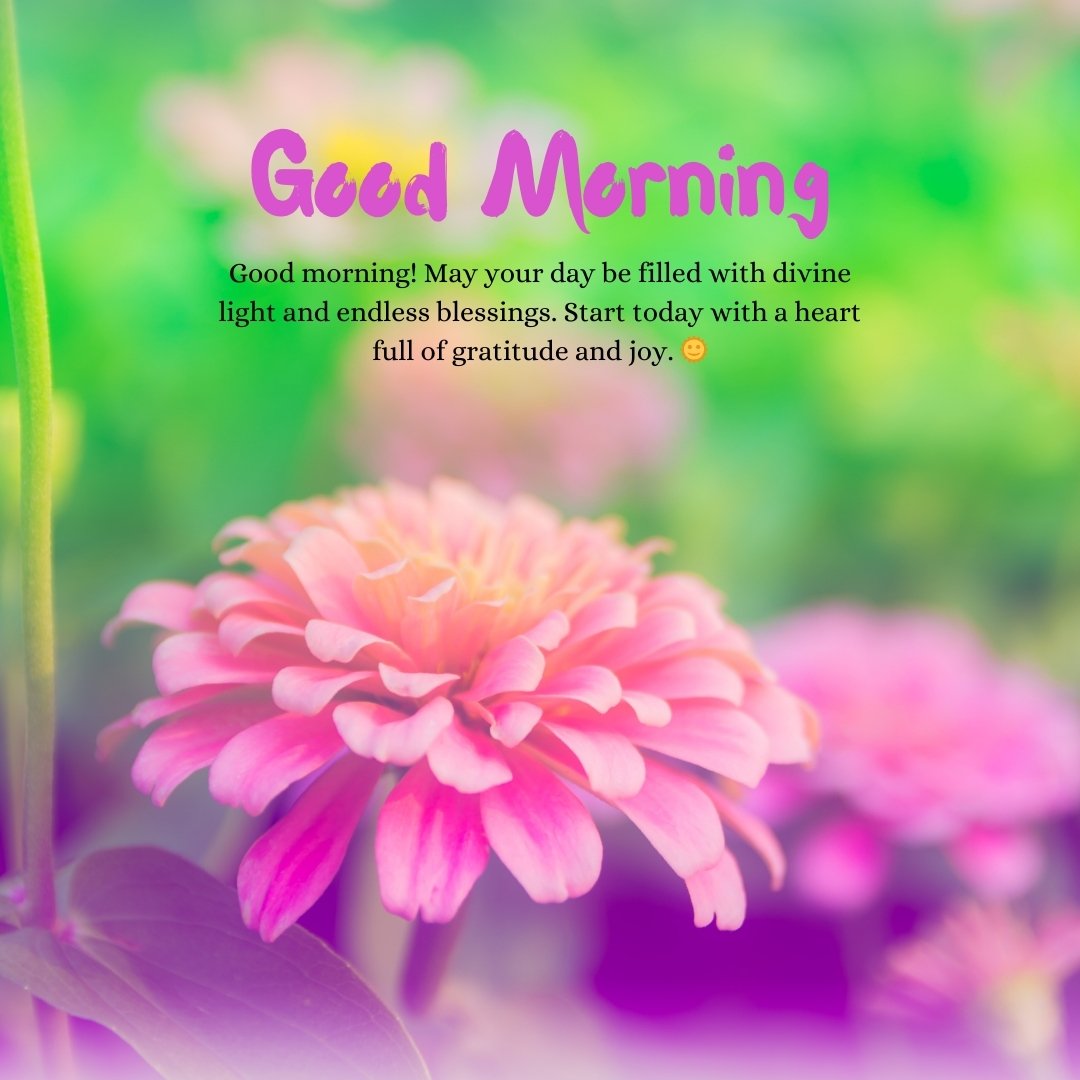 A vibrant close-up of a pink flower with soft green and pink background, featuring a spiritual good morning message that reads: "Good morning! May your day be filled with divine light and endless blessings. Start today with a heart full of gratitude and joy." Perfect for uplifting and spiritual inspiration.