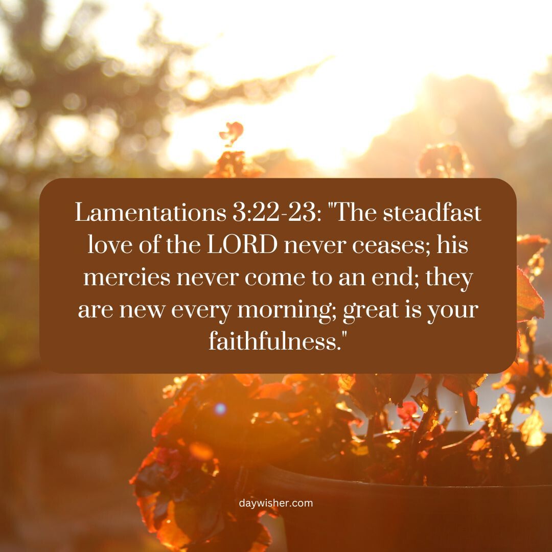 Sunlight filters through leaves with a biblical quote from Lamentations 3:22-23 about the Lord's everlasting mercies and faithfulness, overlaid on the image with "Happy Sunday Bless