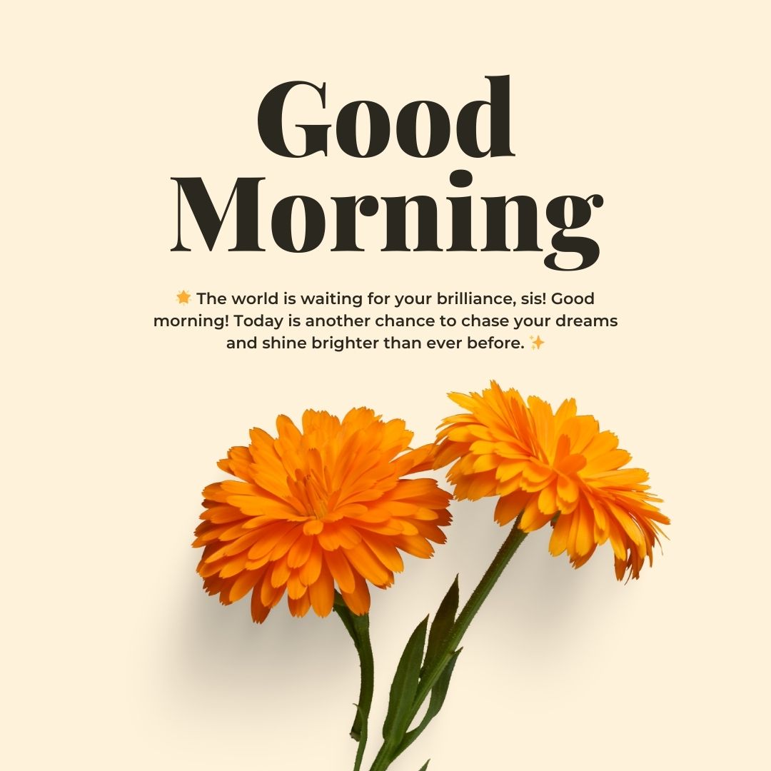 heart touching good morning messages for sister