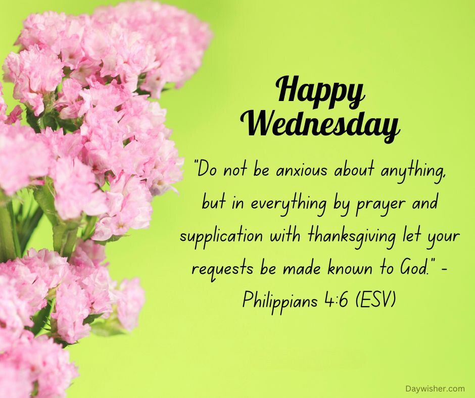 Inspirational quote for Hump Day featuring pink hydrangeas on a green background with the text: "Do not be anxious about anything, but in everything by prayer and supplication with thanksgiving