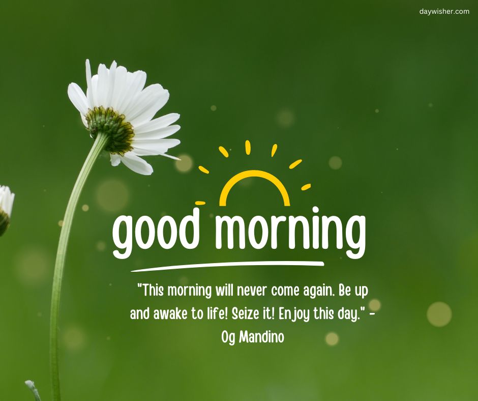 A bright Good Morning image featuring a white daisy on a green background with a stylized sun and the words "good morning" prominently displayed, alongside an encouraging quote by Og Mandino about seizing the