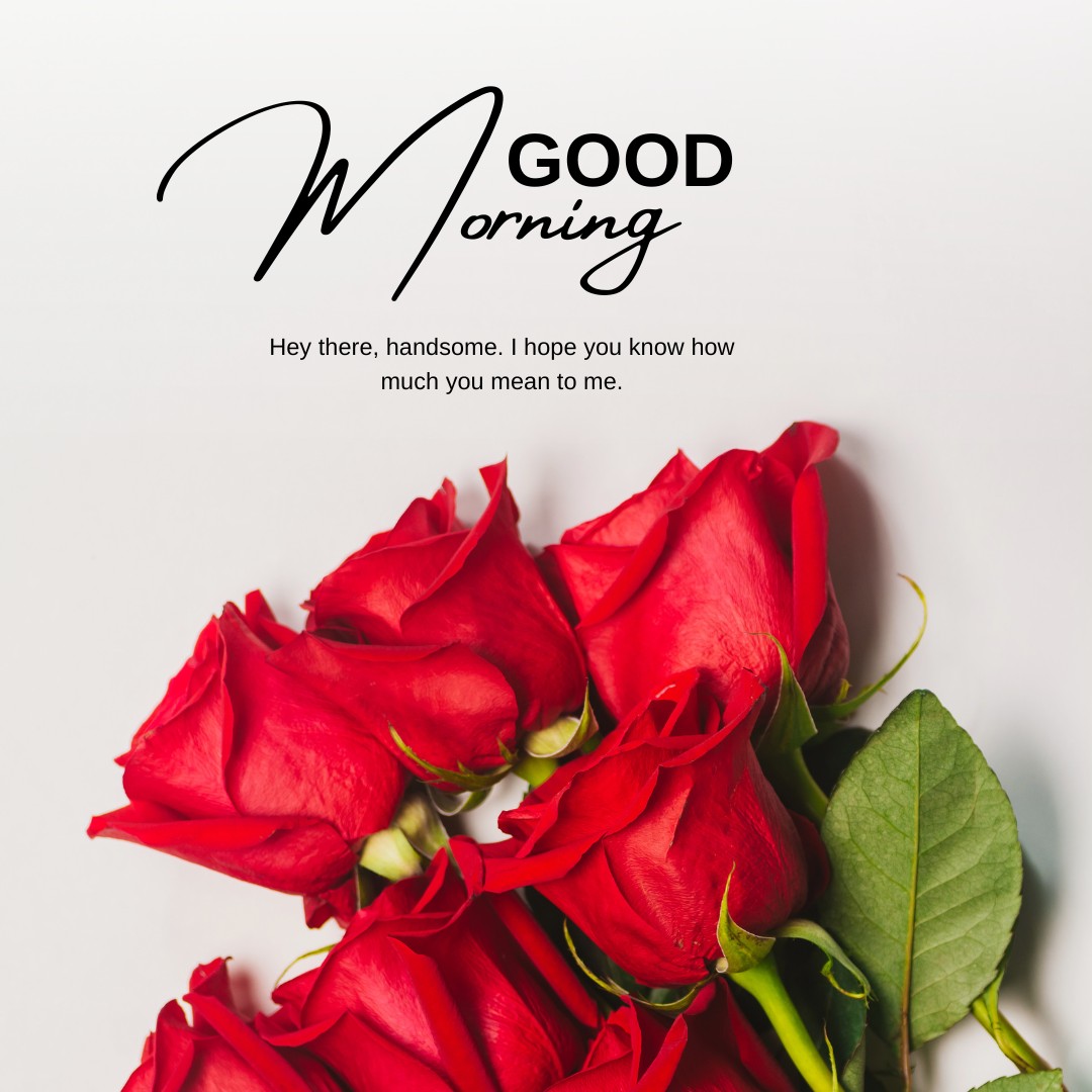 A cluster of vibrant red roses elegantly displayed on a crisp white background, accompanied by a stylish cursive script that reads "Good Morning." Below, a heartfelt message states, "Hey there, handsome. I hope you know how much you mean to me." This image is perfectly suited for posts under "Good Morning Red Rose Images," offering a personal and affectionate morning greeting