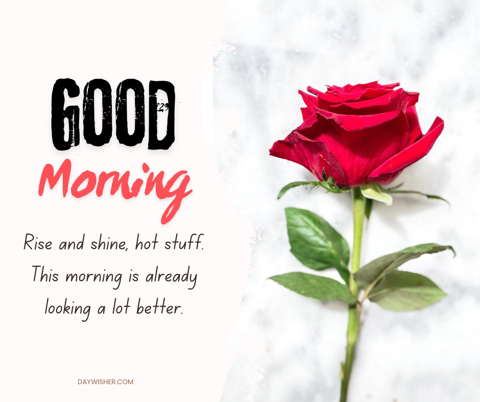 An enticing single red rose stands prominently against a soft marbled background, complemented by playful text in black and red that reads "GOOD Morning" and a flirty message, "Rise and shine, hot stuff. This morning is already looking a lot better." Ideal for a romantic or playful post titled "Good Morning Red Rose Images," adding a charming touch to morning greetings.