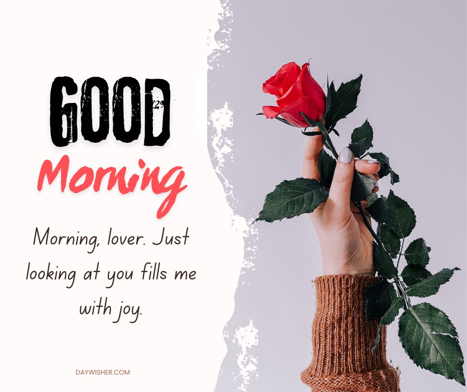A tender moment captured as a hand in a cozy brown sweater holds a single red rose, with the affectionate message "Good Morning, lover. Just looking at you fills me with joy." The image conveys warmth and love, making it an ideal good morning greeting for someone special, emphasizing deep affection and happiness.