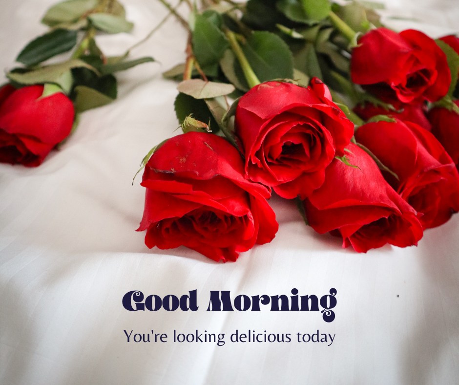 A charming image of several vivid red roses casually strewn across a white linen surface, each rose full and fresh, suggesting a sense of morning delicacy. The playful text "Good Morning - You're looking delicious today" adds a flirtatious and inviting tone, perfect for a morning greeting with a touch of romance.