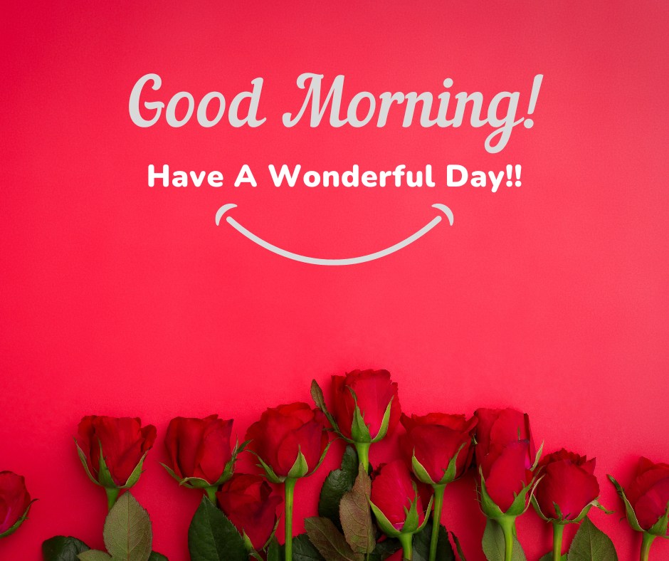 A vibrant image featuring a row of fresh red roses against a vivid red background, complemented by an uplifting "Good Morning! Have A Wonderful Day!!" message in white. This cheerful and inviting setup is ideal for sending positive vibes and brightening someone's morning with the beauty of red roses.