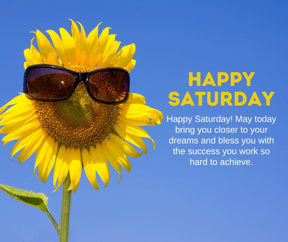 Happy Saturday Wishes of Success featuring a vibrant sunflower wearing sunglasses against a clear blue sky, symbolizing optimism and the pursuit of goals.