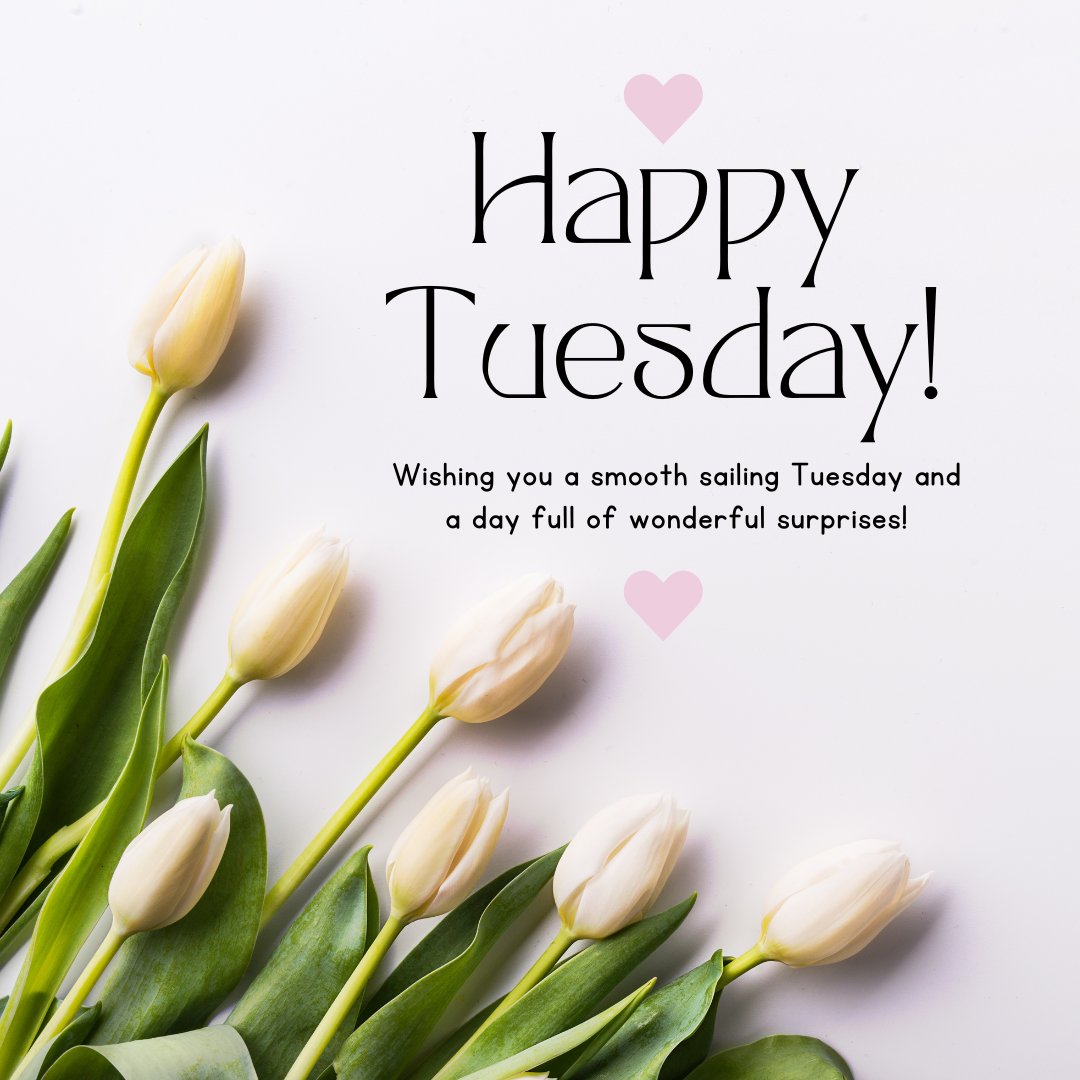 Happy Tuesday message with white tulips on a light background, featuring the text 'Happy Tuesday! Wishing you a smooth sailing Tuesday and a day full of wonderful surprises!' aimed at wishing someone a successful day.