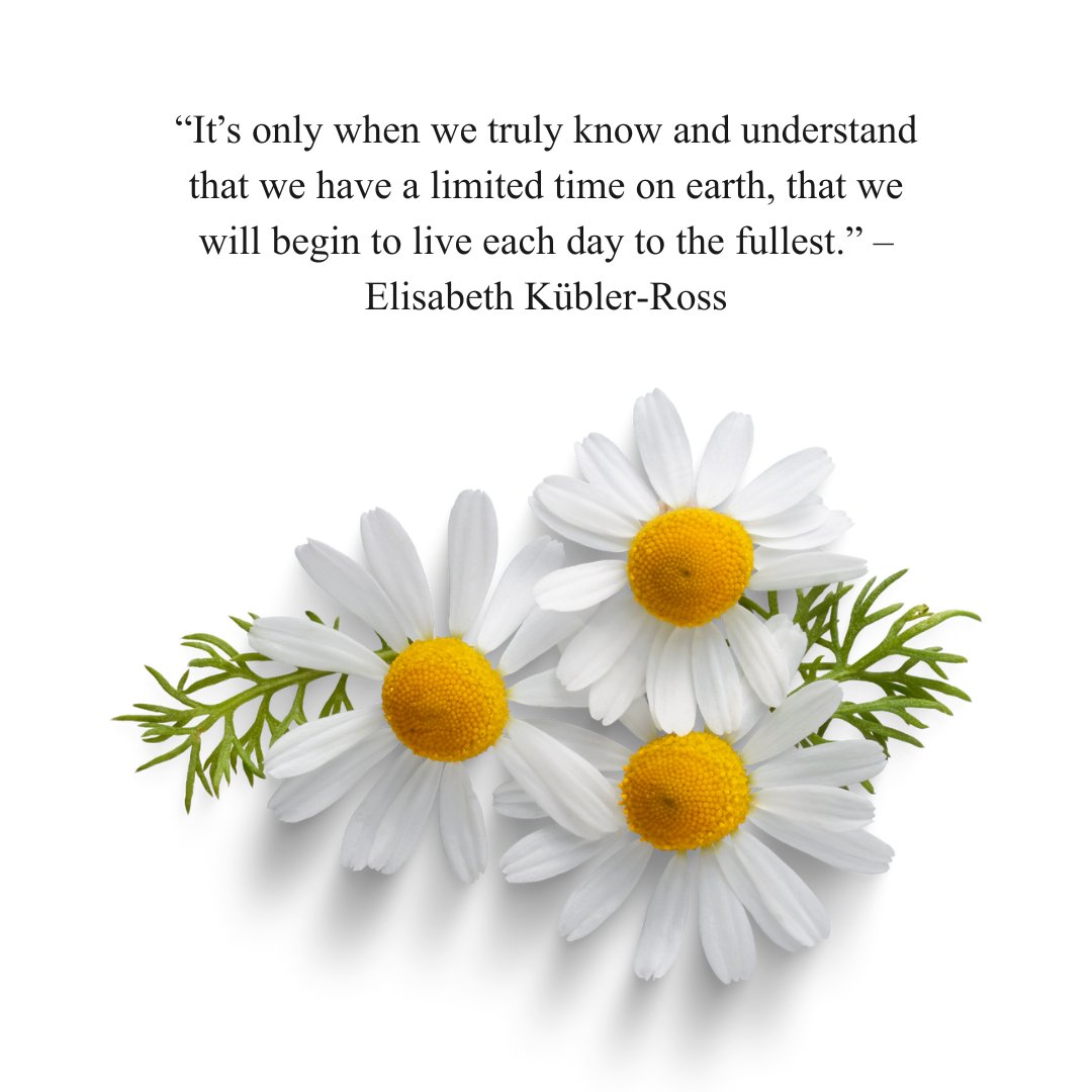 Image of daisies with a quote by Elisabeth Kübler-Ross: 'It’s only when we truly know and understand that we have a limited time on earth, that we will begin to live each day to the fullest.' Ideal for Death Goodbye Unforgettable Memories Quotes content.