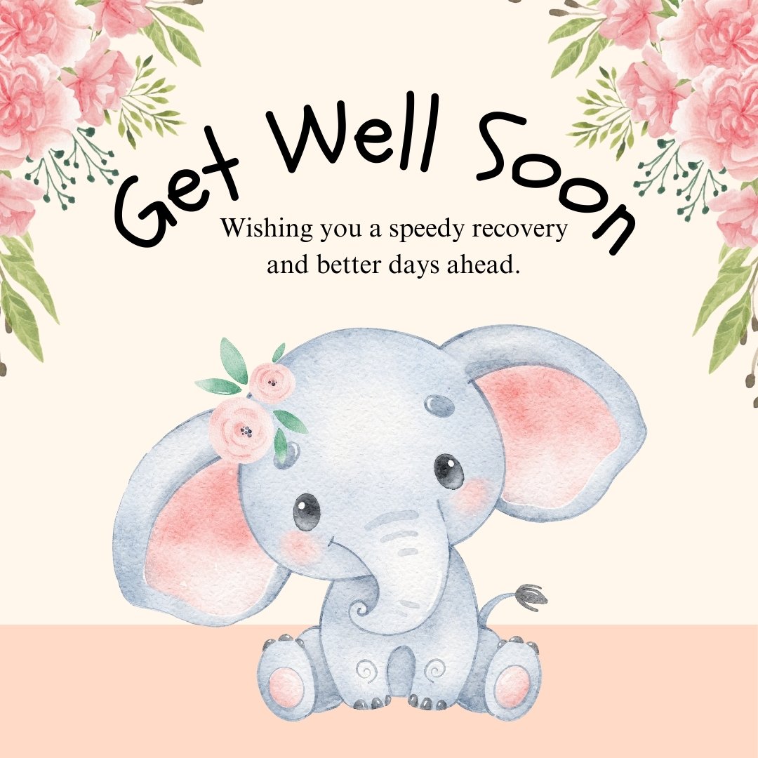 Get Well Soon Message featuring a cute elephant with floral decorations on a pink and floral background.