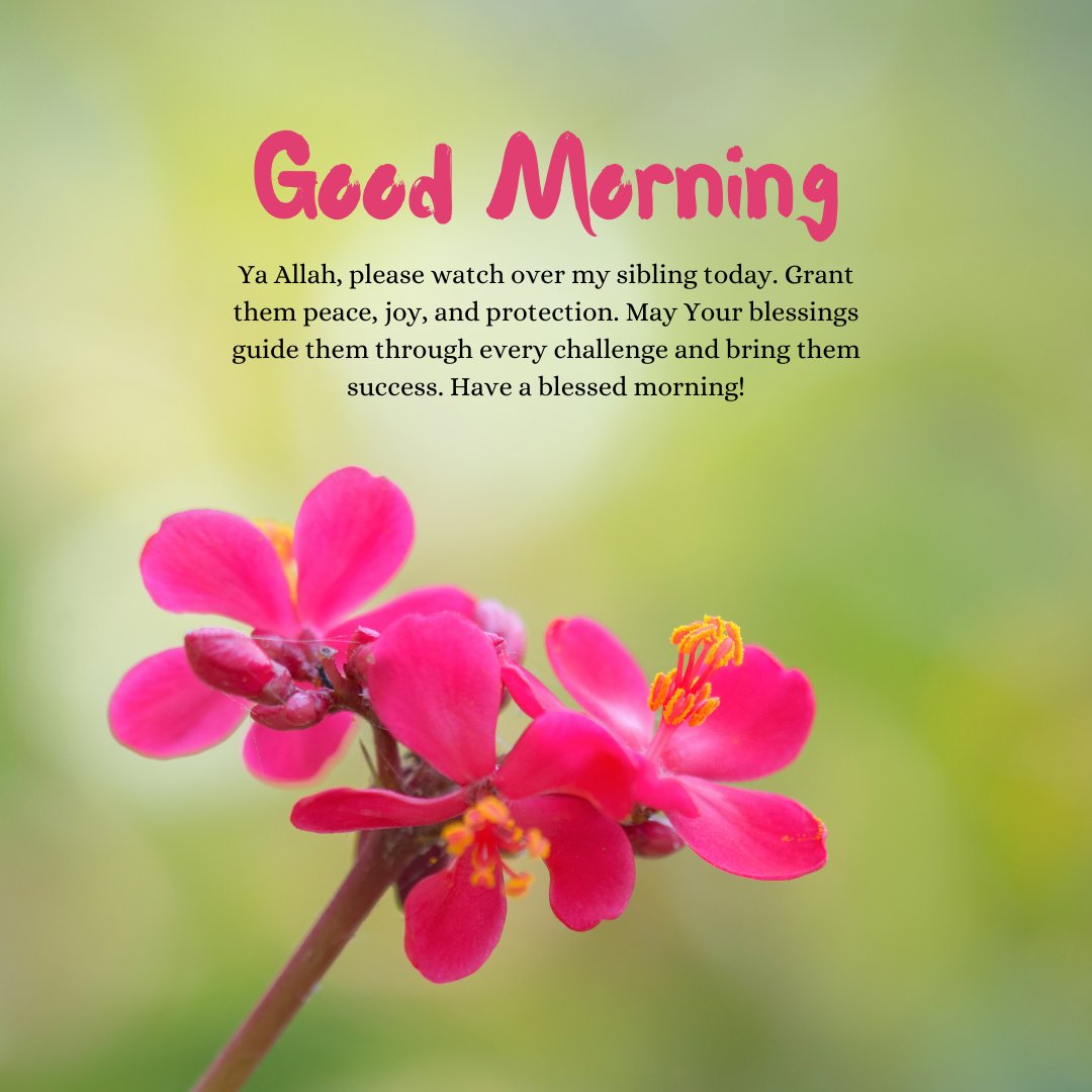 Image of vibrant pink flowers with a Good Morning Dua Message for siblings: 'Ya Allah, please watch over my sibling today. Grant them peace, joy, and protection. May Your blessings guide them through every challenge and bring them success.' Ideal for sharing morning prayers with siblings.