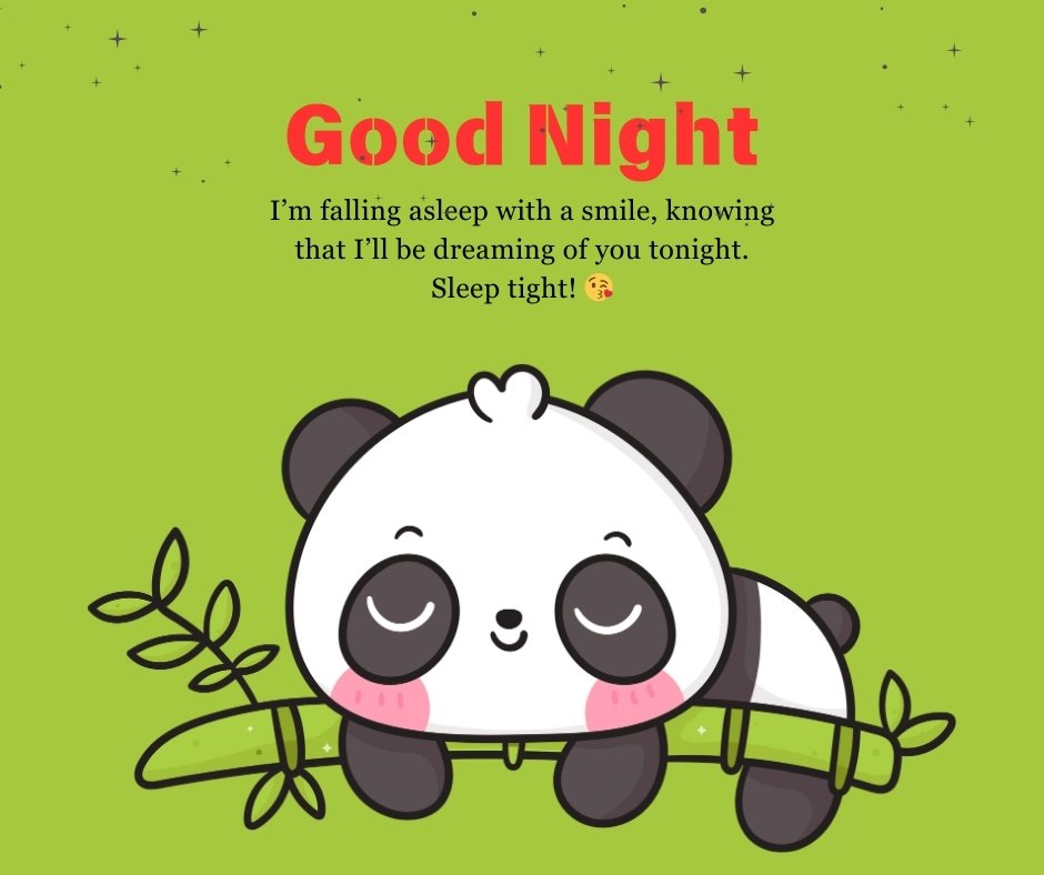 A cute panda smiling with closed eyes, lying on a bamboo branch under a green night sky with twinkling stars. The message reads, "Good Night. I’m falling asleep with a smile, knowing that I’ll be dreaming of you tonight. Sleep tight! 😘" Perfect for a flirty good night message for crush.
