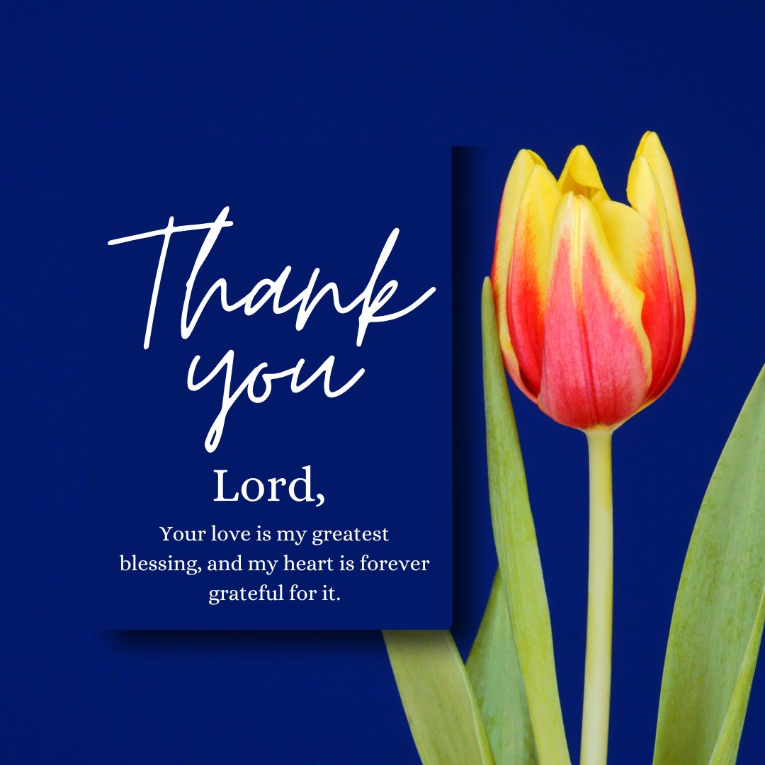 Grateful Thank You Lord Quotes