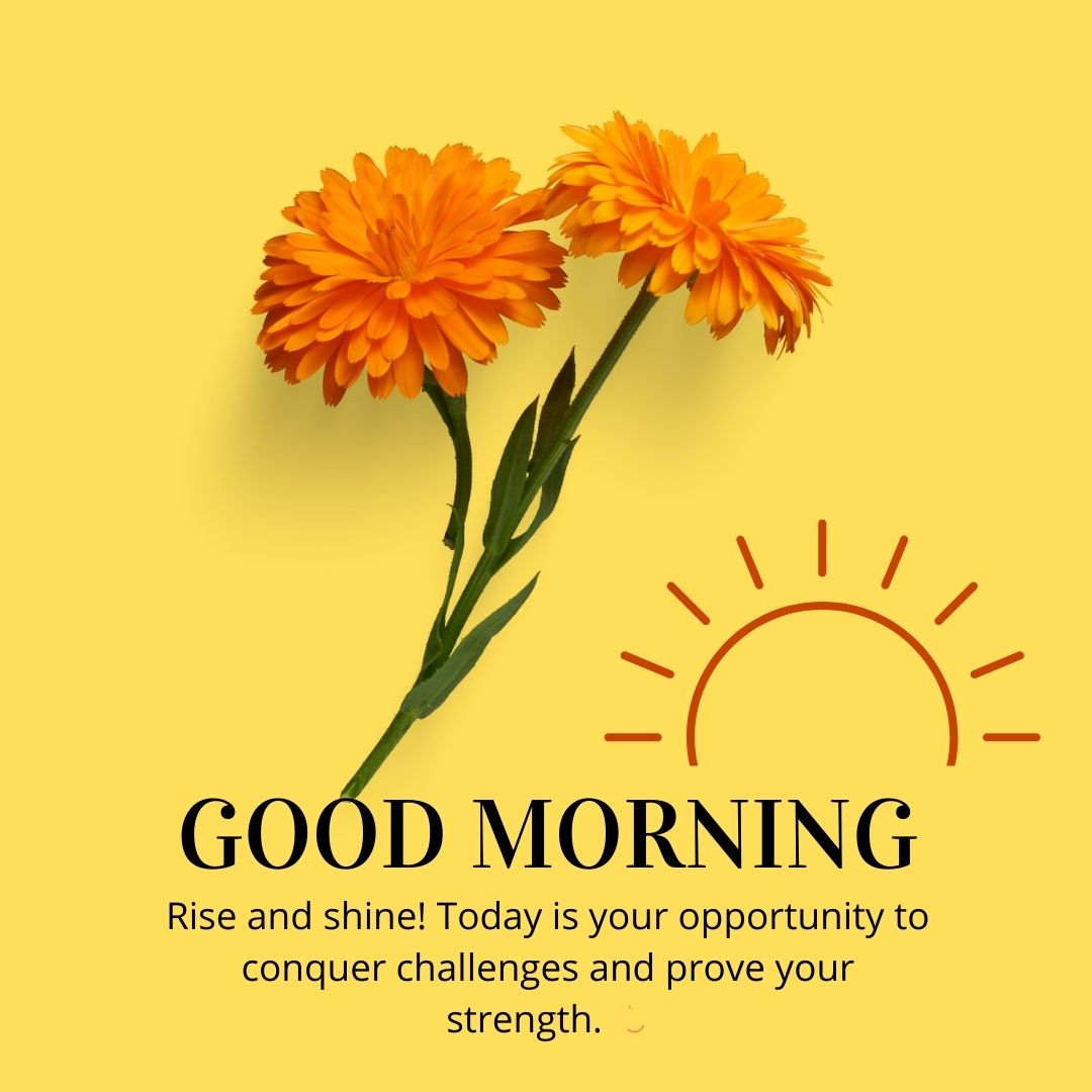 Motivational Good Morning Status to Inspire Greatness