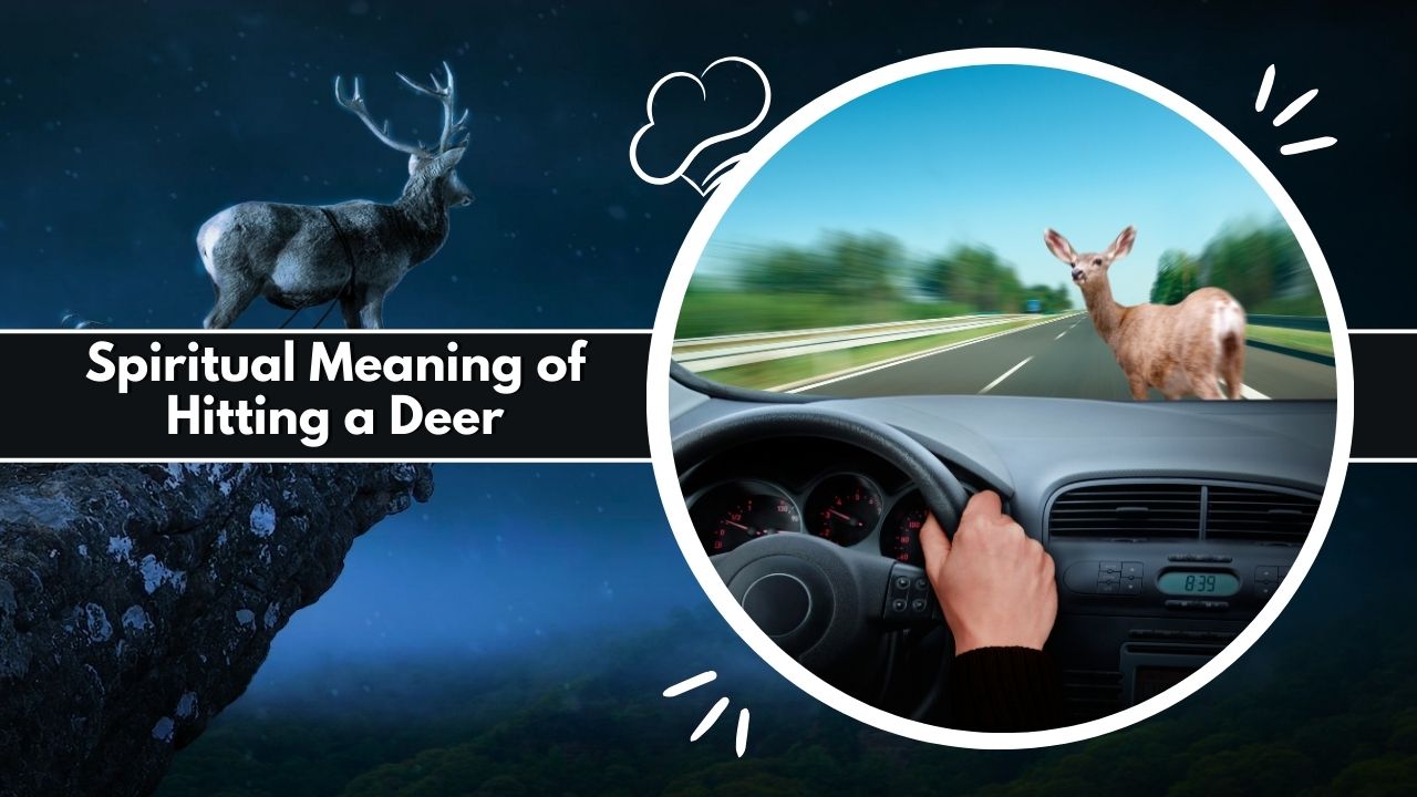 Spiritual Meaning of Hitting a Deer