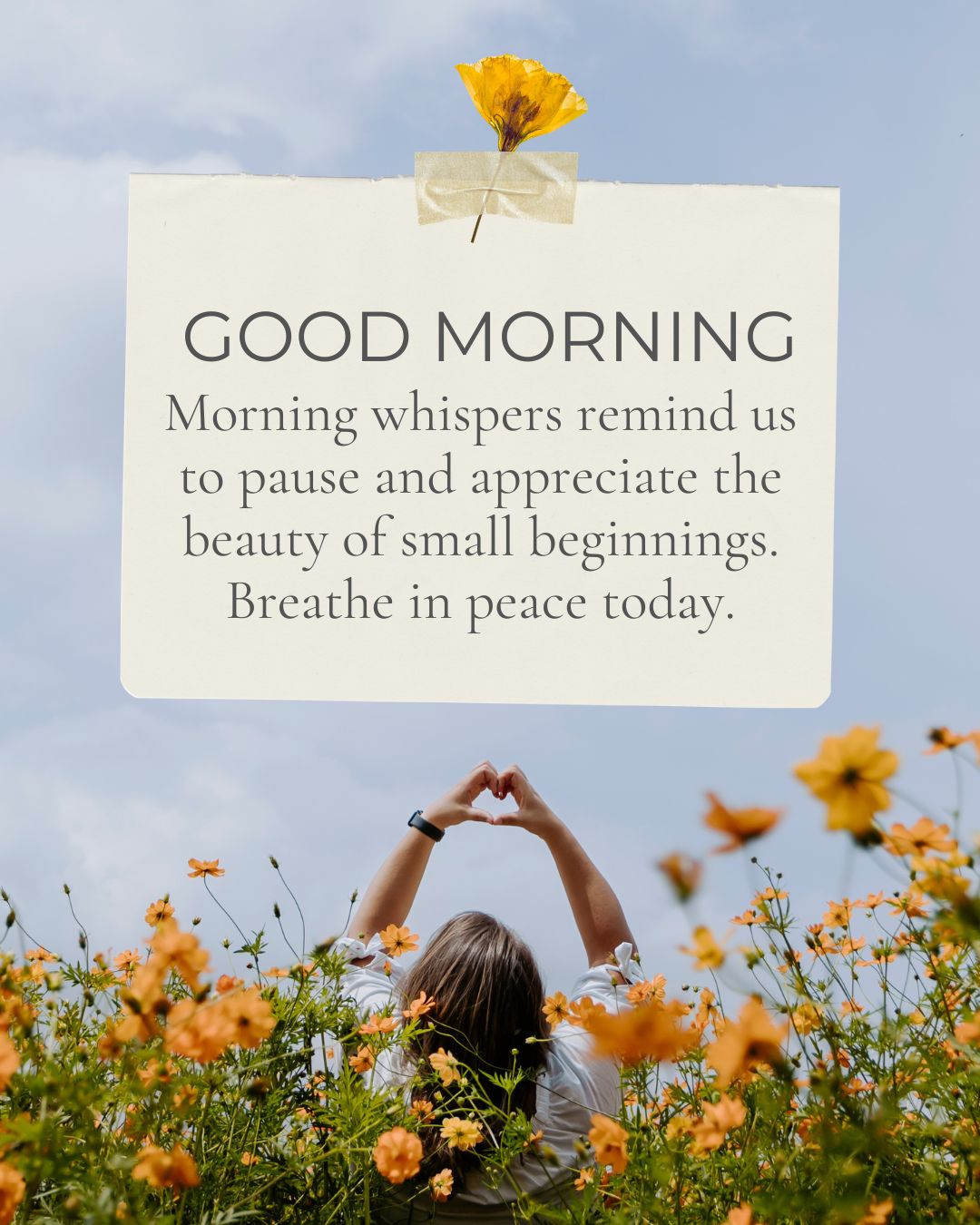 Good Morning Status for Reflective Mornings