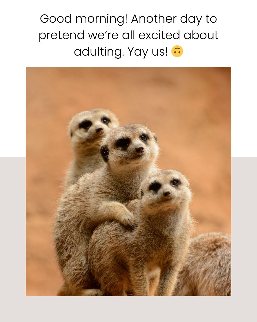 Sarcastic Good Morning Status to Tease and Entertain