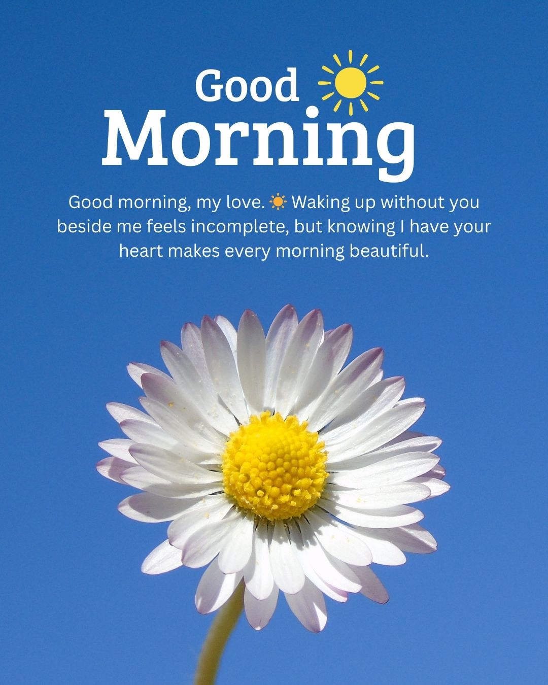 Good Morning Wishes for Love: Express Your Affection