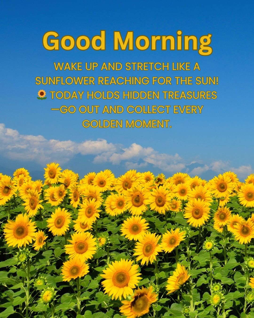 Unique Good Morning Wishes to Make Someone’s Day