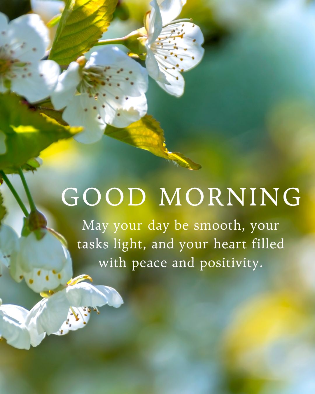 Good Morning Blessings for Busy Mornings