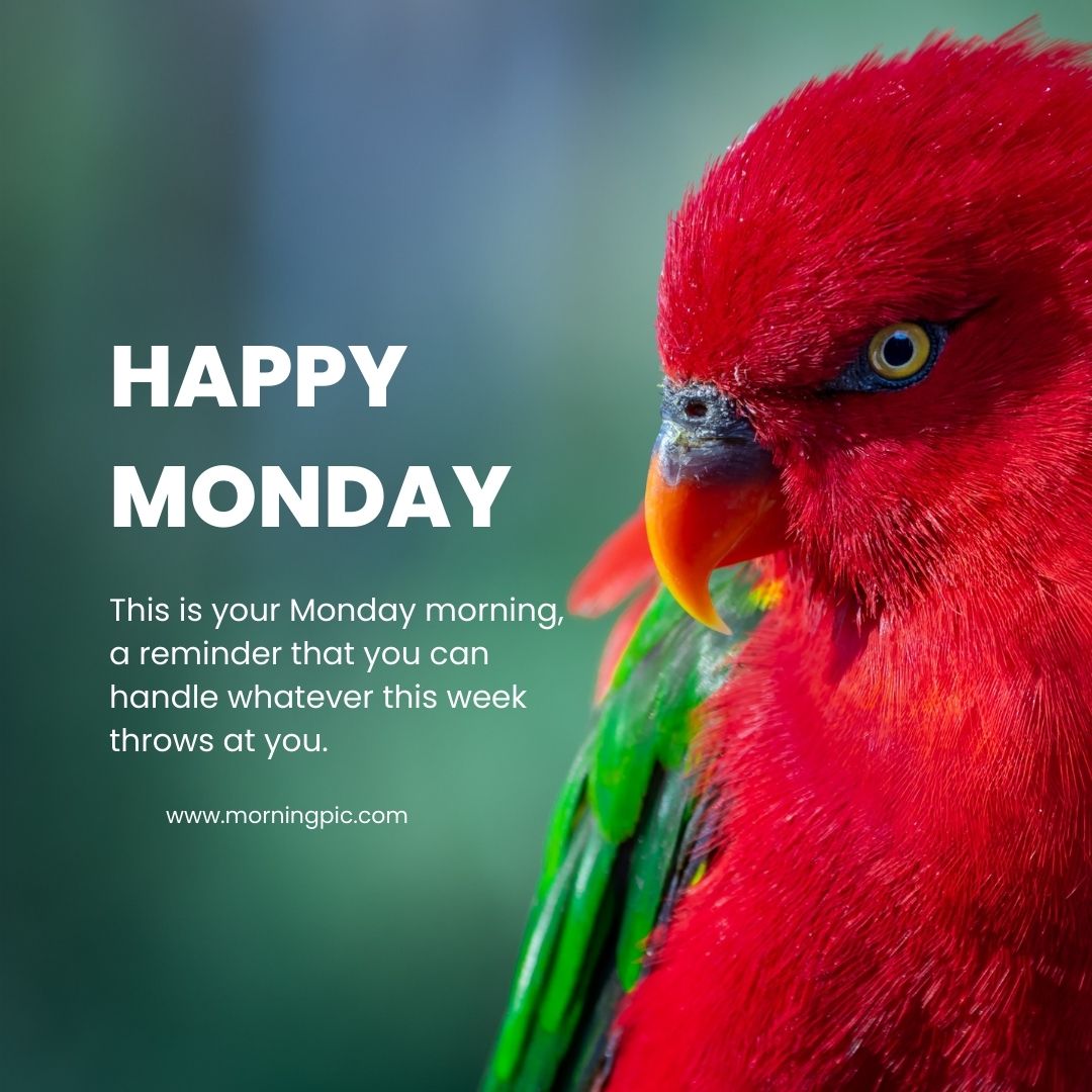 Beautiful Happy Monday Images