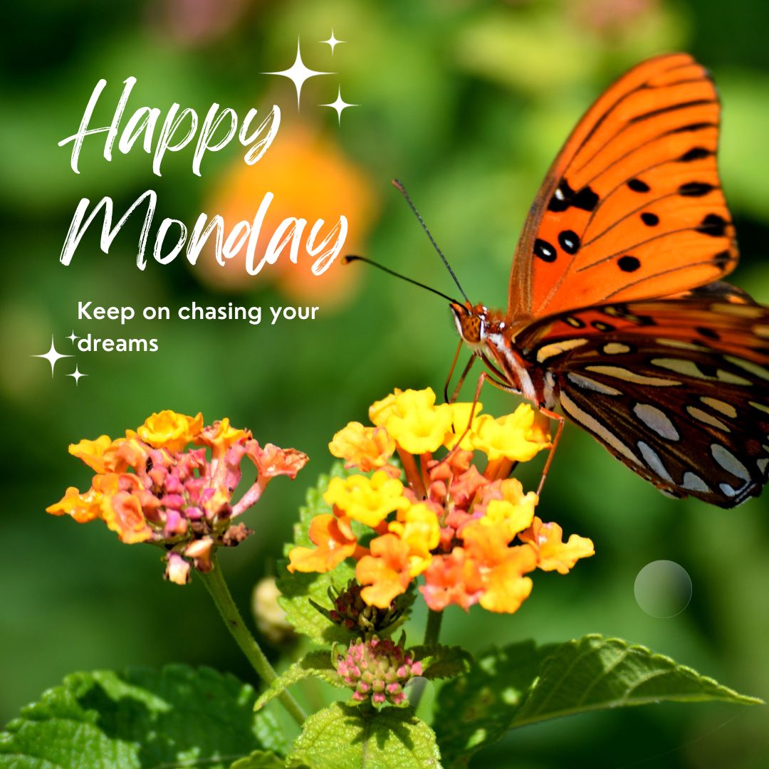 Beautiful Happy Monday Images