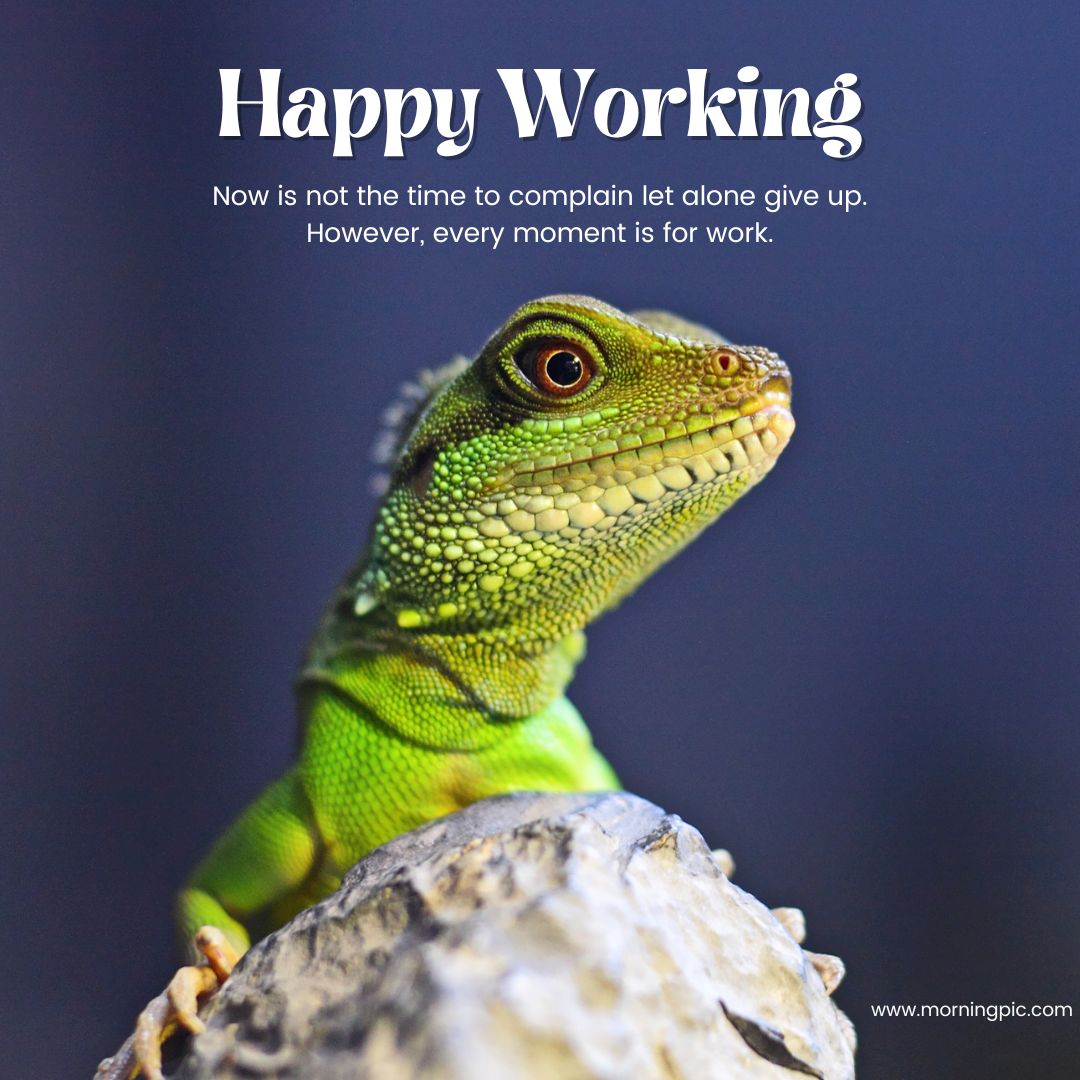 Beautiful Happy Monday Images