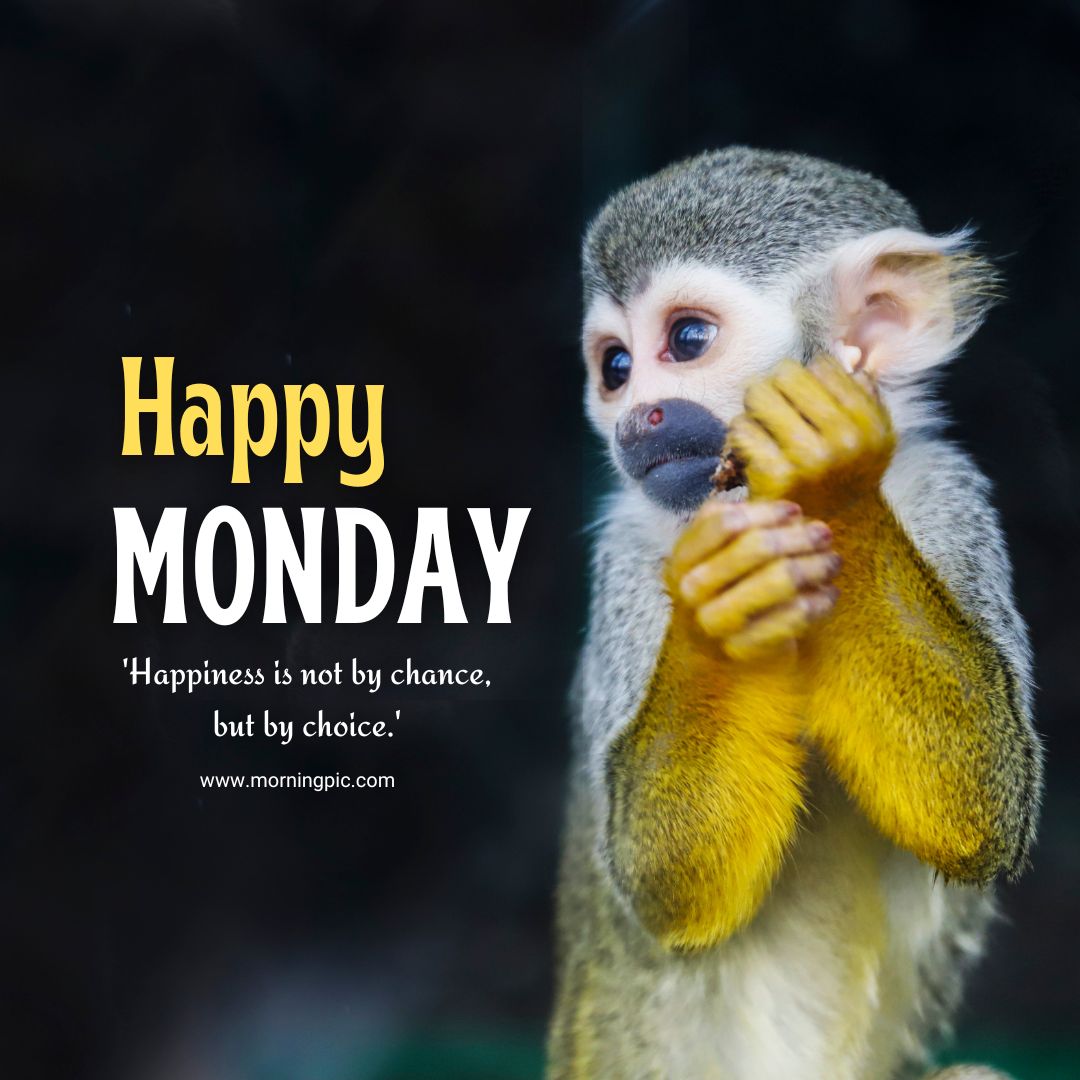 Beautiful Happy Monday Images