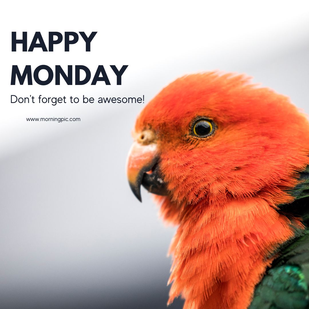 Beautiful Happy Monday Images