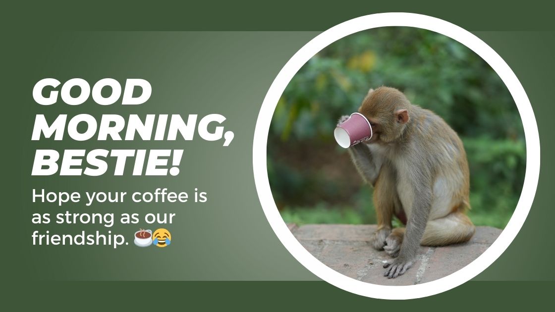 Funny Good Morning Captions for Friends