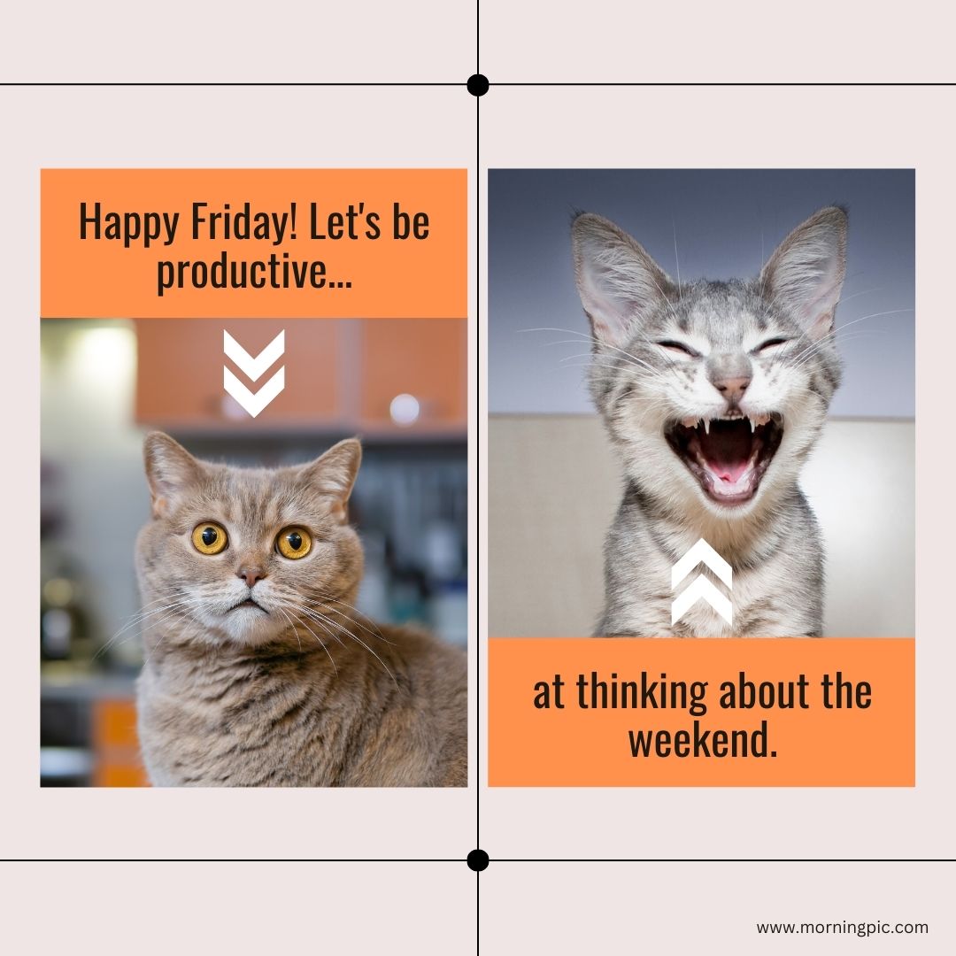 Funny Happy Friday Images