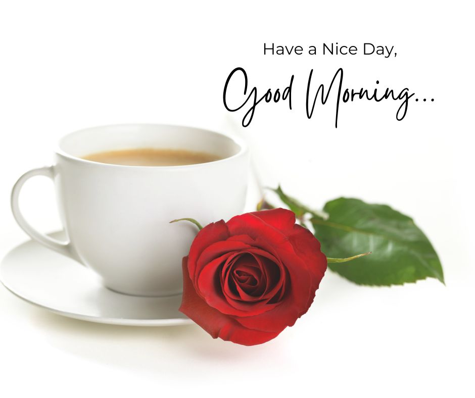 Good Morning Rose Images for Girlfriend & Love