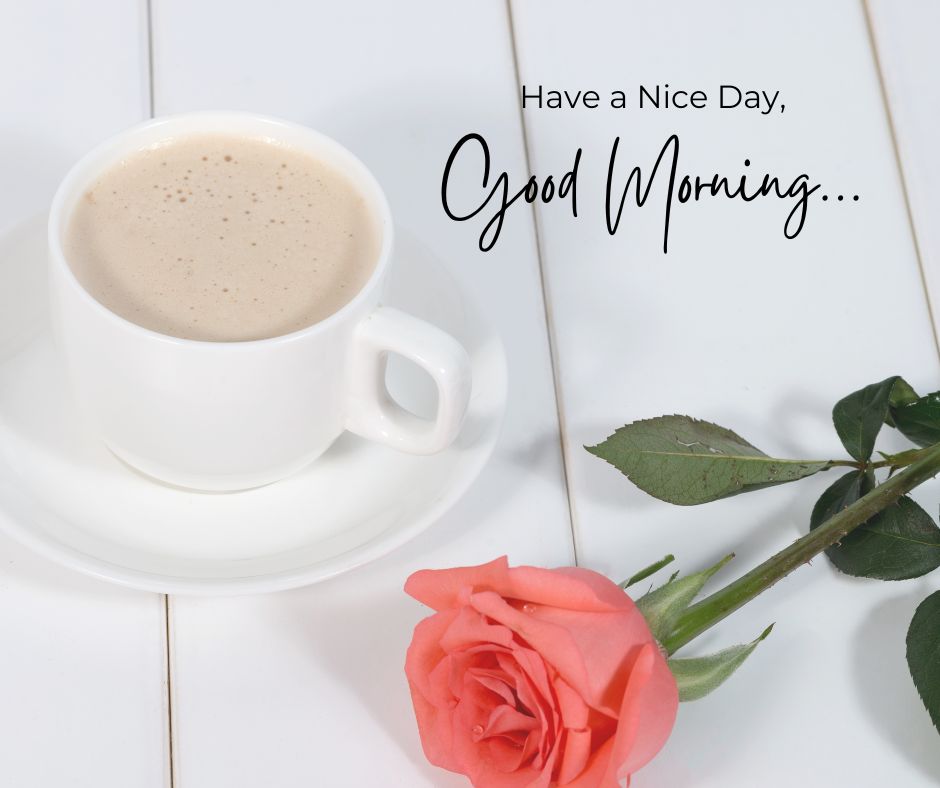 Good Morning Rose Images for Girlfriend & Love