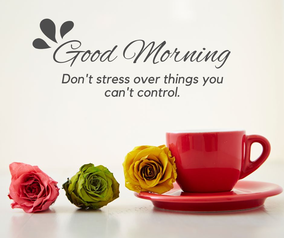 Good Morning Rose Images for Girlfriend & Love