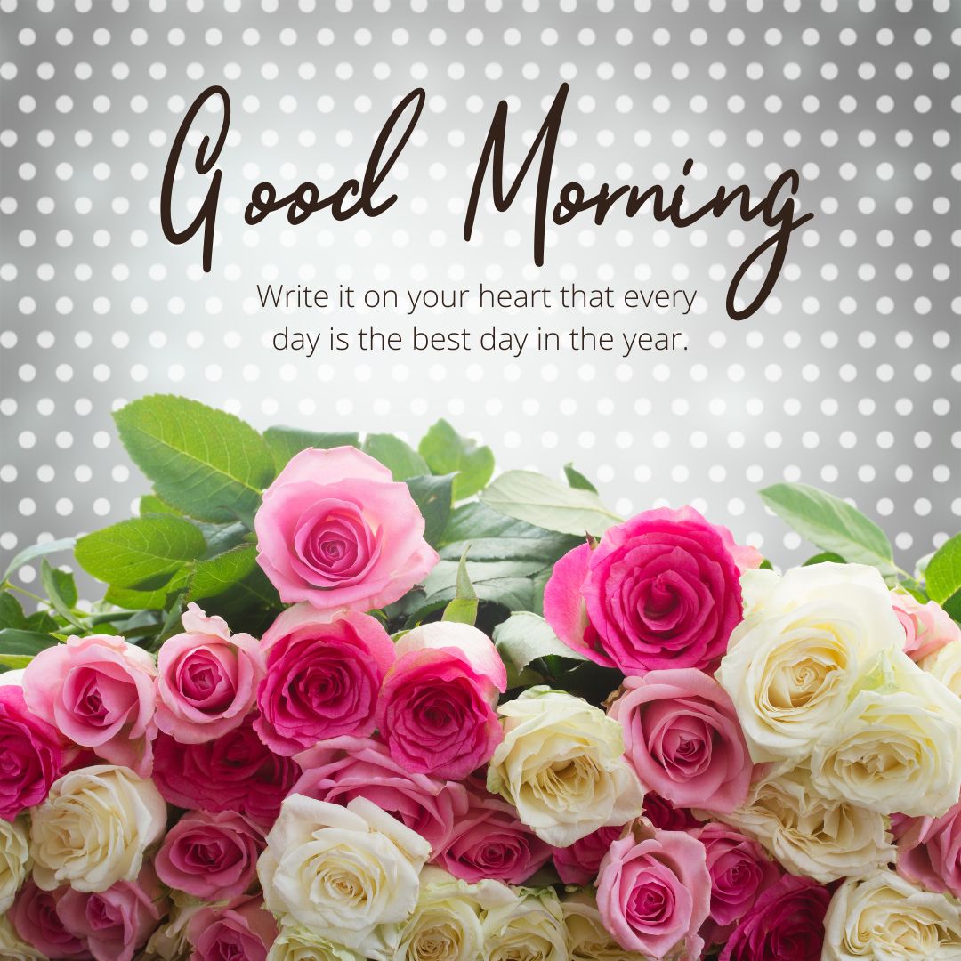 Good Morning Rose Images for WhatsApp