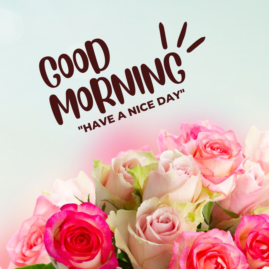 Good Morning Rose Images for WhatsApp