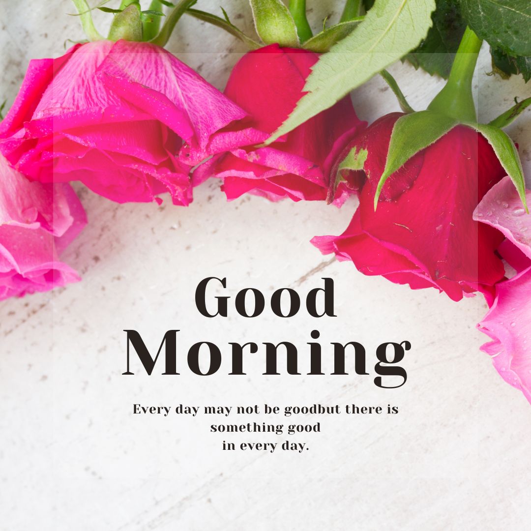 Good Morning Rose Images for WhatsApp