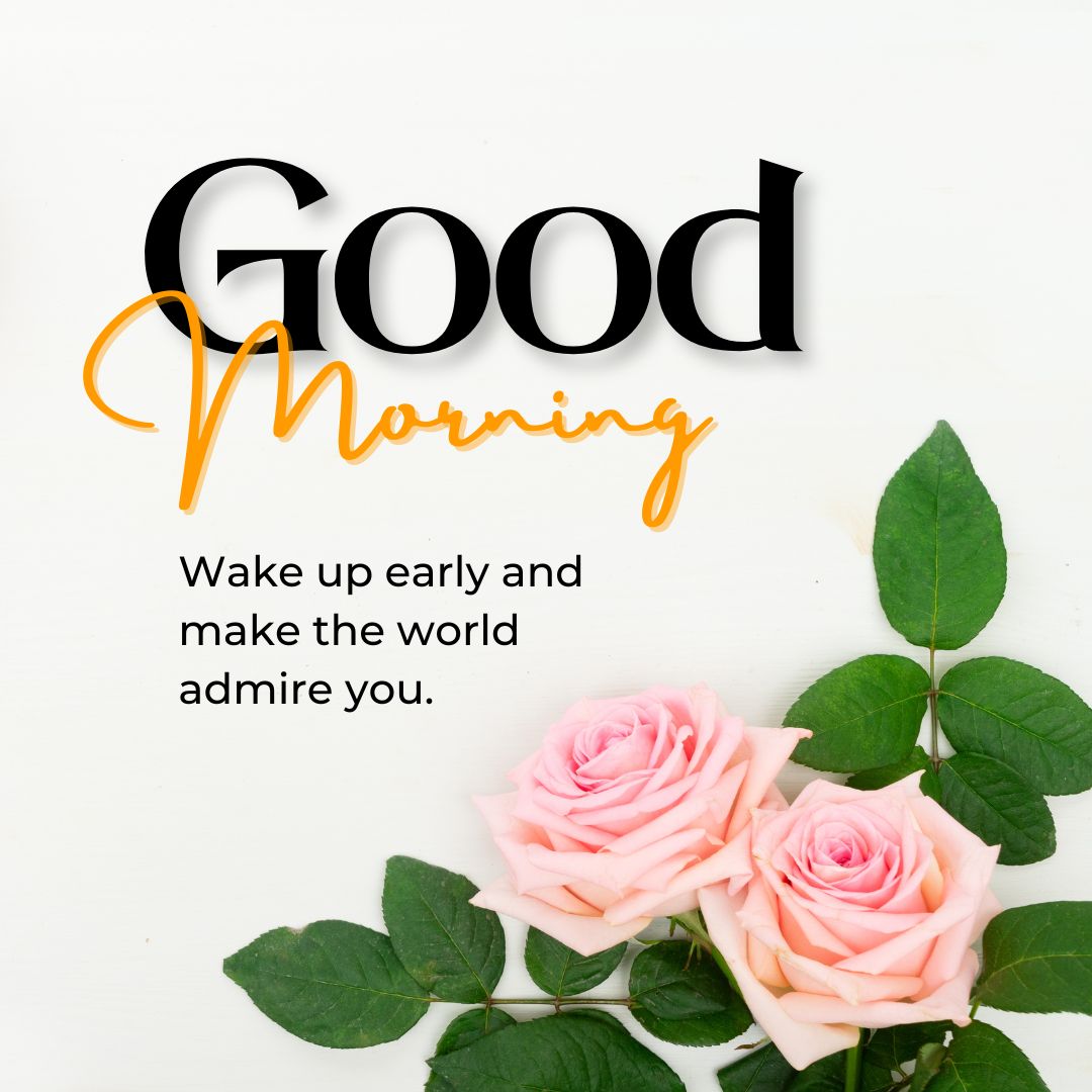 Good Morning Rose Images for WhatsApp