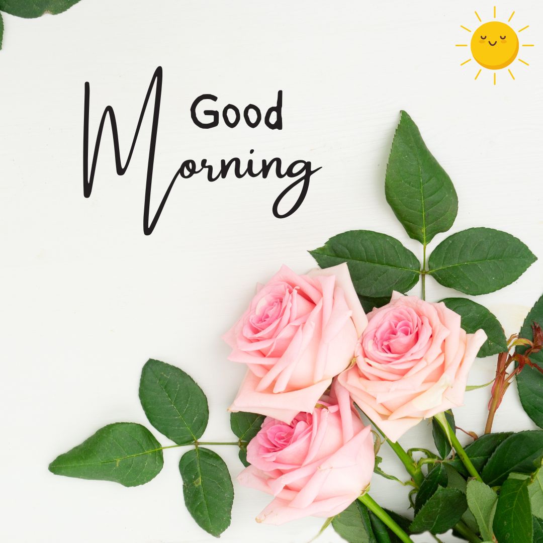 Good Morning Rose Images for WhatsApp
