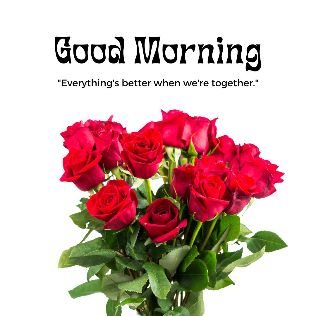 Good Morning Rose Images for WhatsApp
