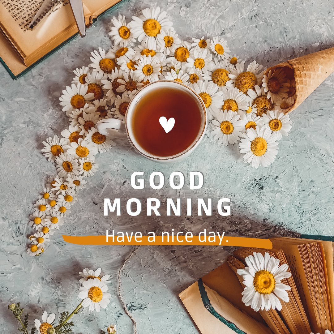 Good morning tea image featuring a cup of tea with a heart-shaped reflection, surrounded by a circle of daisies and chamomile flowers on a textured turquoise background, accompanied by books and the greeting "Good Morning, Have a nice day."