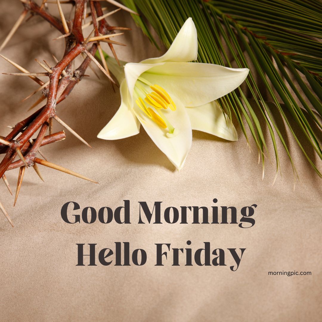 Good morning Happy Friday Images