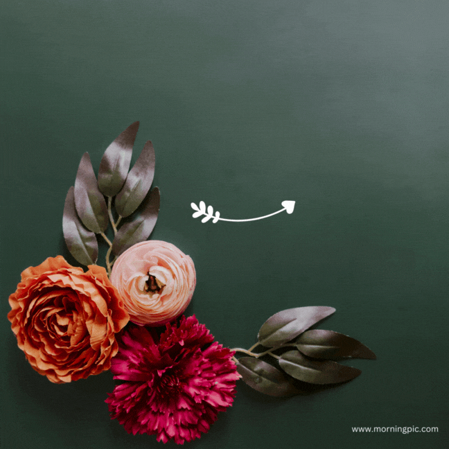 Happy Monday Images GIF