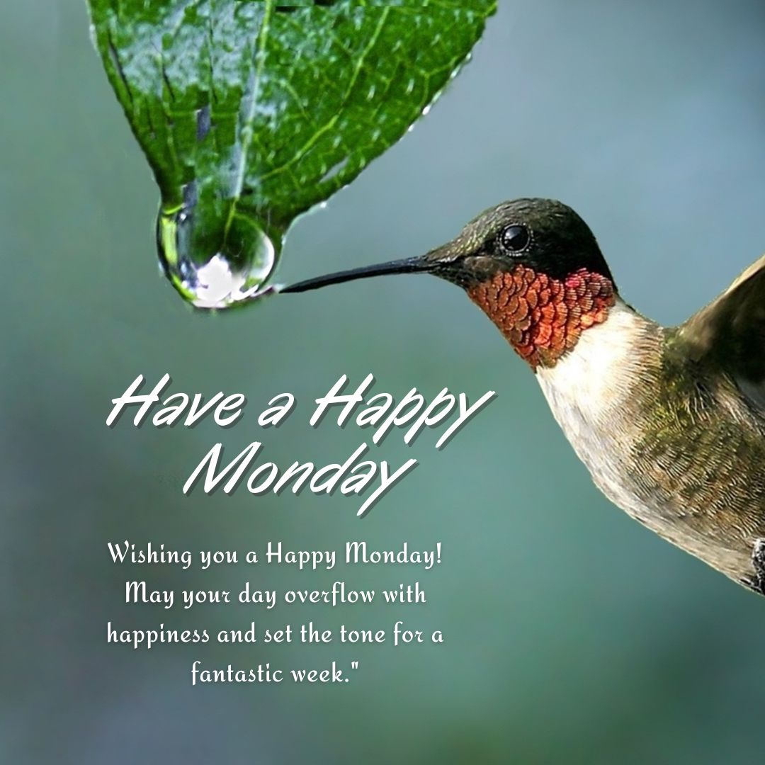 Have a Happy Monday Images