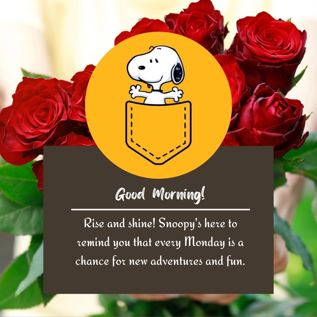 Snoopy Happy Monday Images